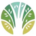 Ash River Collective